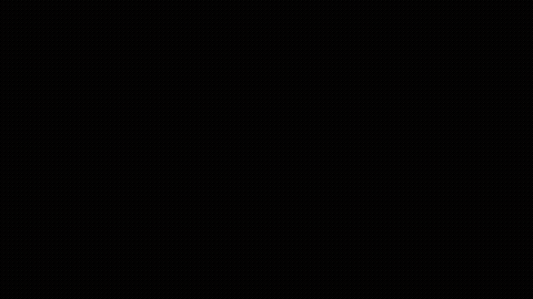 dbf6c806afa1f1b97b83a8bbbd50a1ff11339c44.gif