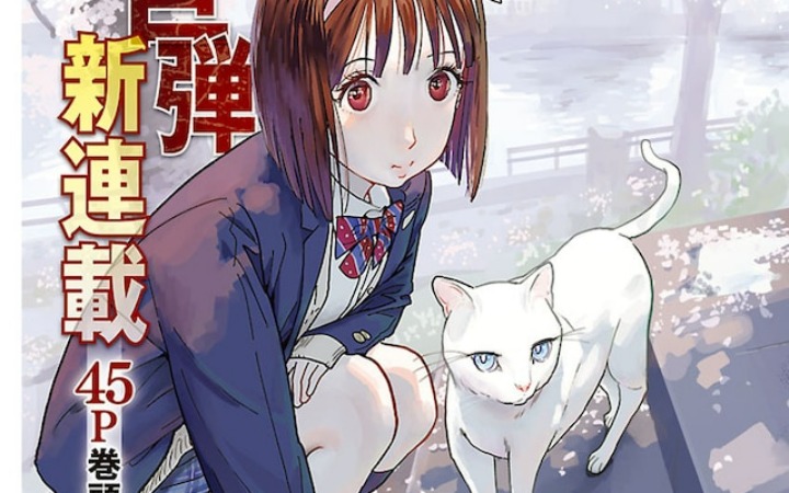白猫硬核登场 《小巷里的爱丽丝》开始连载